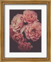 Dreamy Roses Fine Art Print