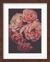 Dreamy Roses Fine Art Print