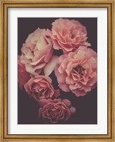 Dreamy Roses Fine Art Print