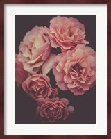 Dreamy Roses Fine Art Print