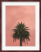 Pink Palm Fine Art Print