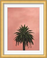 Pink Palm Fine Art Print