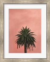 Pink Palm Fine Art Print