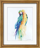 Colorful Parrots II Fine Art Print