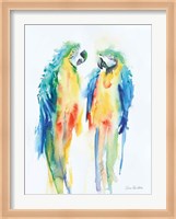 Colorful Parrots I Fine Art Print