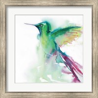 Hummingbirds III Fine Art Print