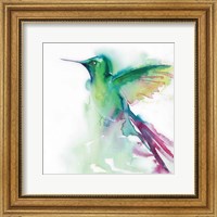 Hummingbirds III Fine Art Print