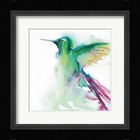 Hummingbirds III Framed Print