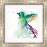 Hummingbirds III Fine Art Print