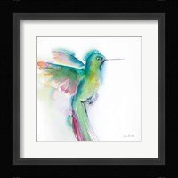 Hummingbirds II Framed Print