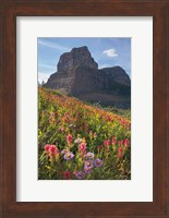 Boulder Pass Wildflowers Fine Art Print