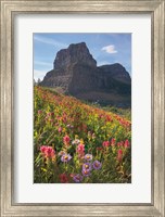 Boulder Pass Wildflowers Fine Art Print