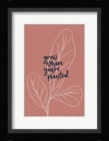 Balance II Framed Print