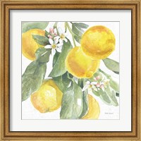 Citrus Charm Lemons II Fine Art Print