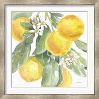 Citrus Charm Lemons II Fine Art Print