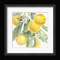 Citrus Charm Lemons II Framed Print