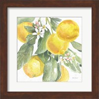 Citrus Charm Lemons II Fine Art Print