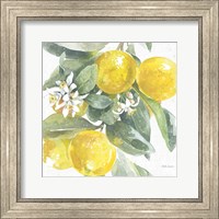 Citrus Charm Lemons I Fine Art Print