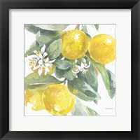 Citrus Charm Lemons I Framed Print