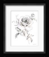 Sketchbook Garden IX BW Framed Print