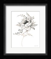 Sketchbook Garden VIII BW Framed Print