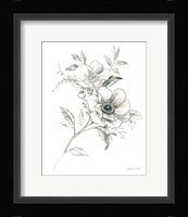 Sketchbook Garden VII BW Framed Print