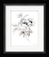 Sketchbook Garden X BW Framed Print