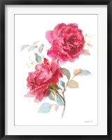 Bold Roses II Framed Print