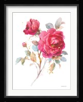 Bold Roses I Framed Print