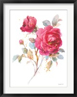 Bold Roses I Fine Art Print