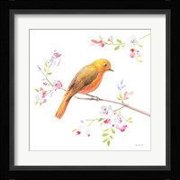 Flight Friends III Framed Print