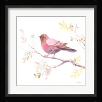 Flight Friends II Framed Print