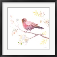 Flight Friends II Framed Print