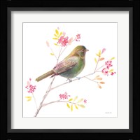 Flight Friends I Framed Print