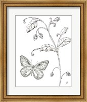 Outdoor Beauties Butterfly II Fine Art Print