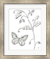 Outdoor Beauties Butterfly II Fine Art Print