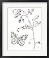 Outdoor Beauties Butterfly II Fine Art Print