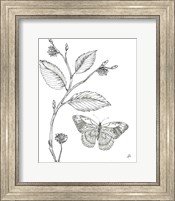 Outdoor Beauties Butterfly I Fine Art Print