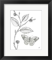 Outdoor Beauties Butterfly I Fine Art Print