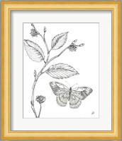 Outdoor Beauties Butterfly I Fine Art Print