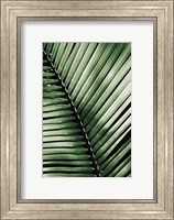 Palm Frond I Green Fine Art Print