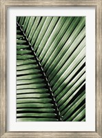 Palm Frond I Green Fine Art Print