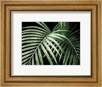 Palm Fronds Green Fine Art Print