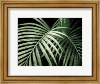 Palm Fronds Green Fine Art Print