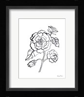Joyful Peonies IV Framed Print