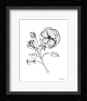 Joyful Peonies III Framed Print