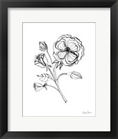 Joyful Peonies III Framed Print