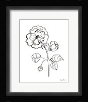 Joyful Peonies II Framed Print