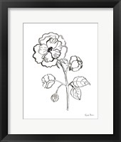 Joyful Peonies II Framed Print