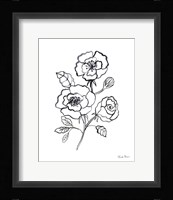 Joyful Peonies I Framed Print